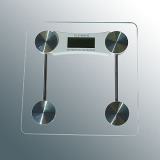 Body Scale (GLE-2003A2)